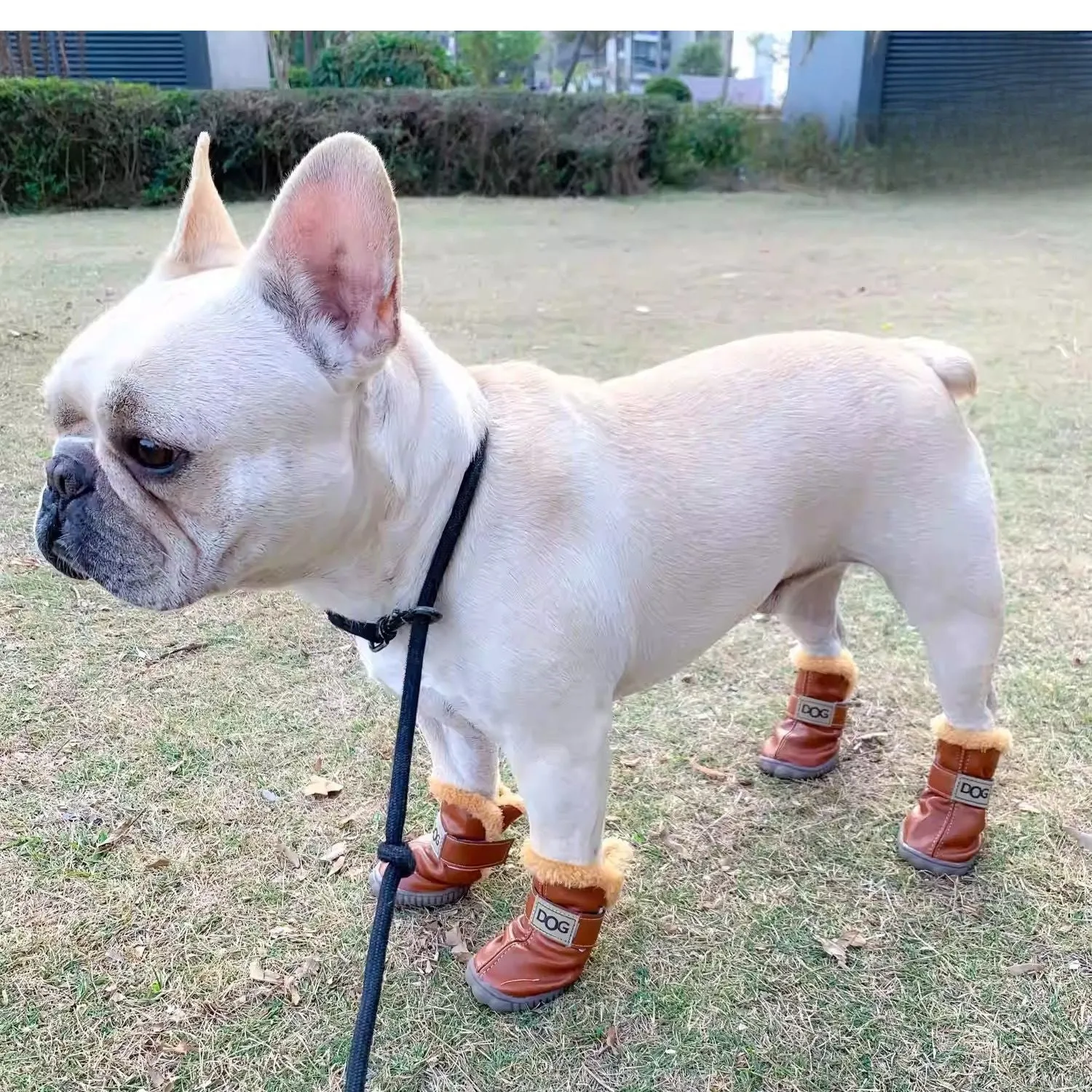 FurStride Warm French Bulldog Shoes – Soft Durable and Non-Slip